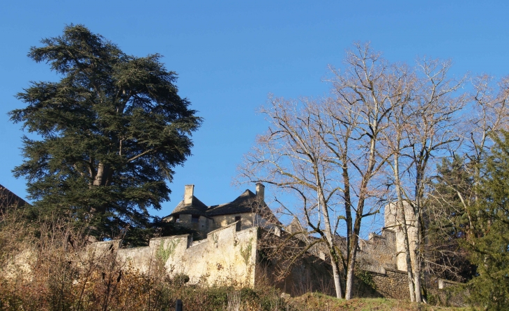 Le château de Fénelon. - Sainte-Mondane