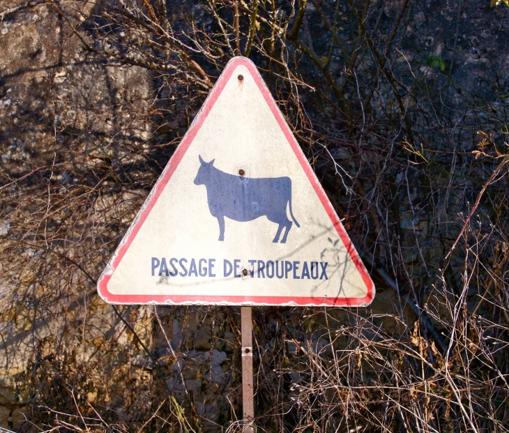 Ancien panneau. Environs du château de Fénelon. - Sainte-Mondane