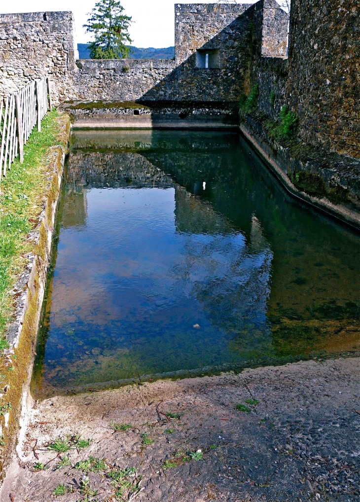 Le château de Fénelon - Sainte-Mondane