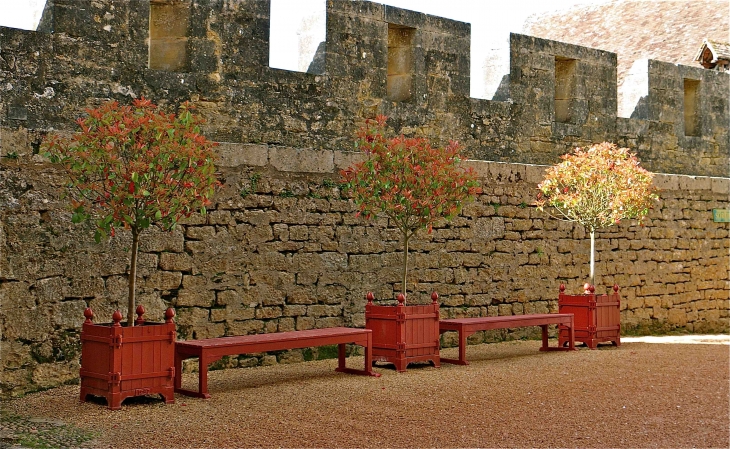 Le château de Fénelon - Sainte-Mondane