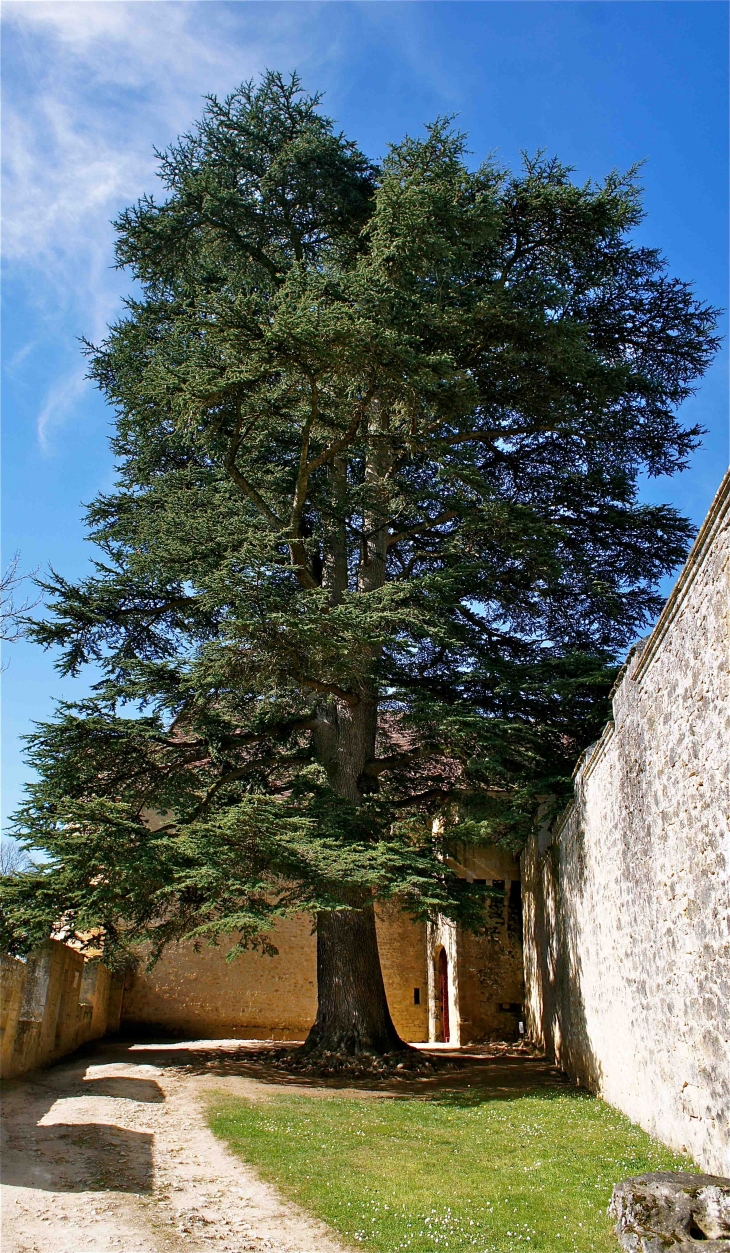 Le château de Fénelon - Sainte-Mondane