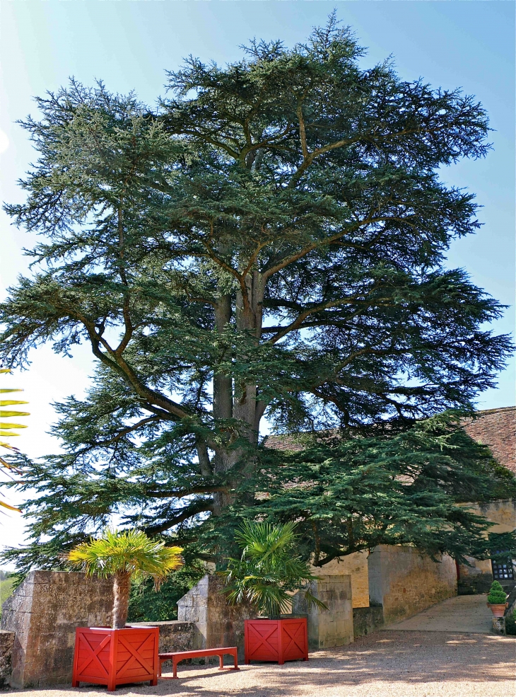 Le château de Fénelon - Sainte-Mondane