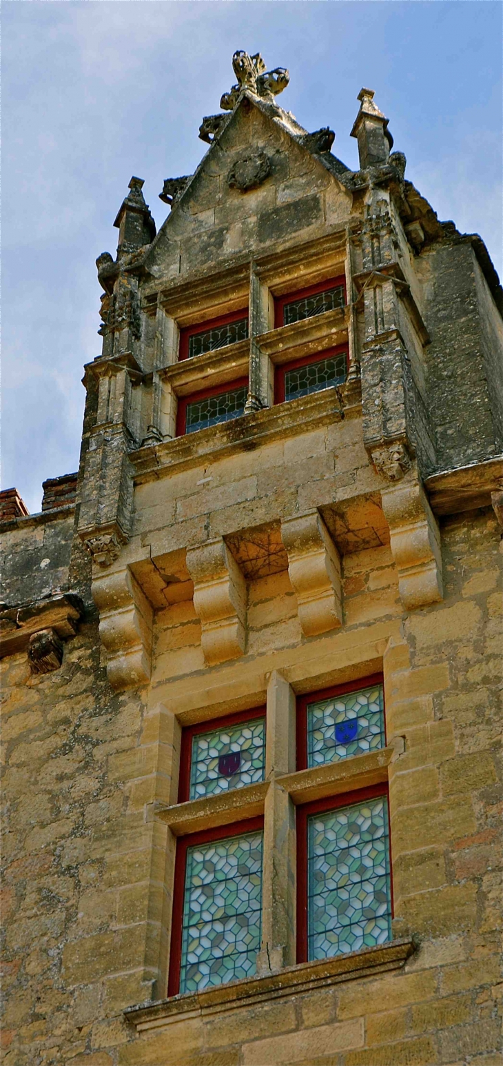 Le château de Fénelon - Sainte-Mondane