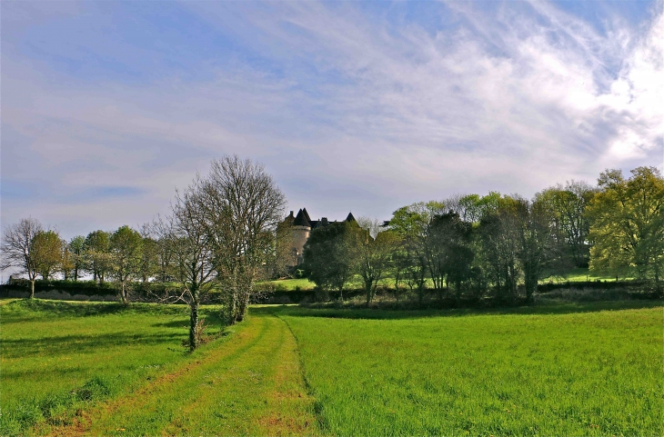 Le château de Fénelon - Sainte-Mondane