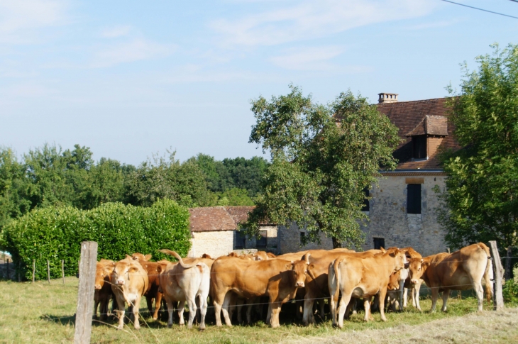 Aux alentours. - Sainte-Orse