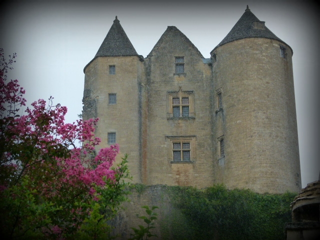 Vue du chateau - Salignac-Eyvigues