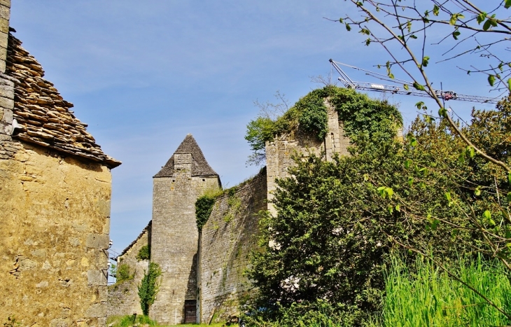 Le Château - Salignac-Eyvigues