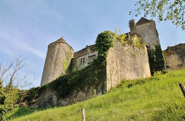 Le Château - Salignac-Eyvigues