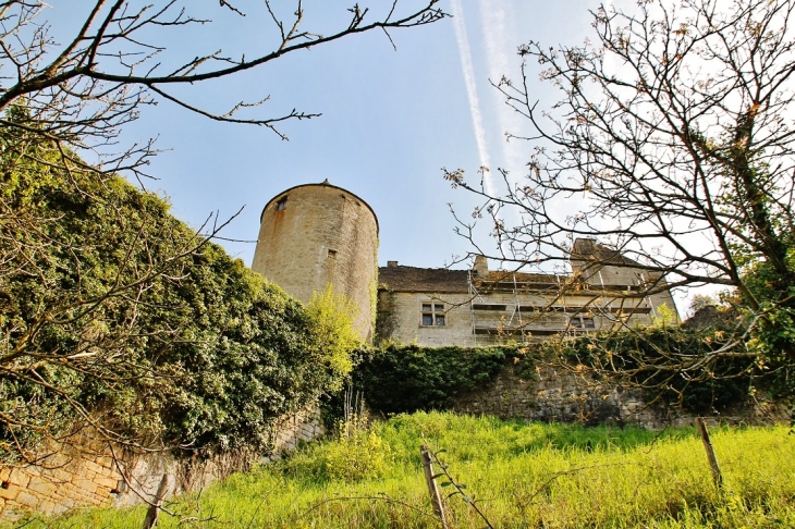 Le Château - Salignac-Eyvigues