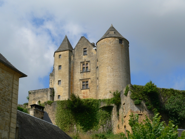 Le Château de Salignac - Salignac-Eyvigues