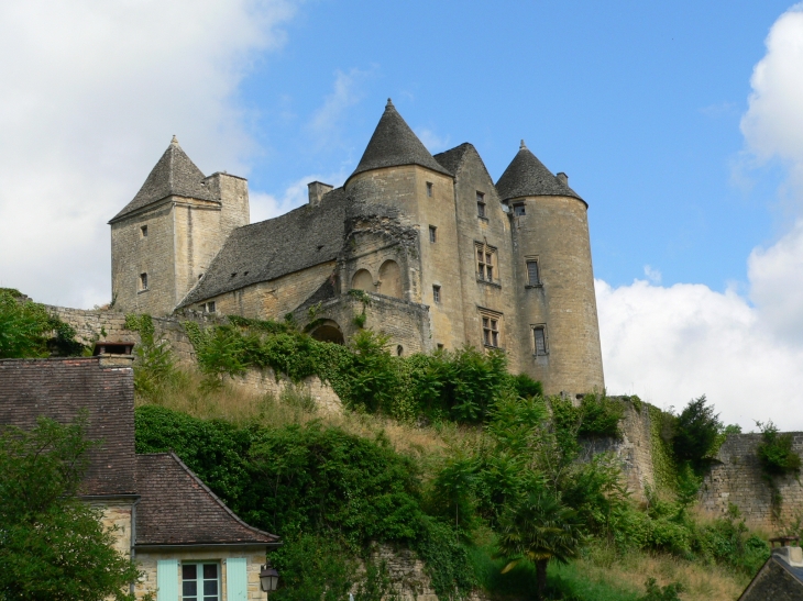 Le Château de Salignac - Salignac-Eyvigues