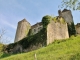 Photo suivante de Salignac-Eyvigues le Château