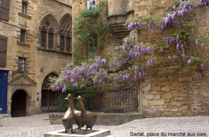 La place du marché aux oies - Sarlat-la-Canéda