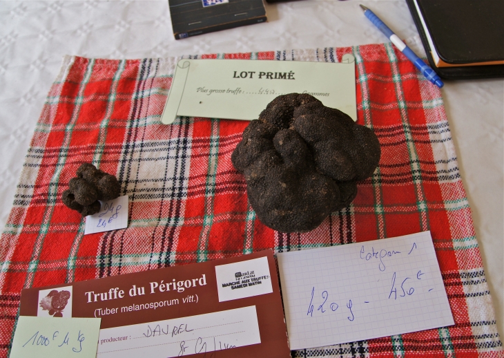 Le Festival de la Truffe. - Sarlat-la-Canéda