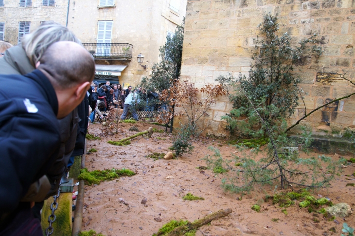 Le Festival de la Truffe. Le Cavage. - Sarlat-la-Canéda