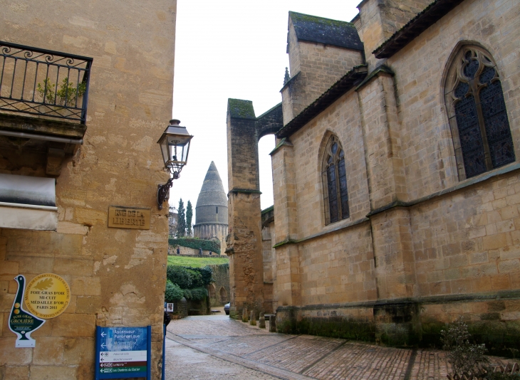 Le Festival de la Truffe. - Sarlat-la-Canéda