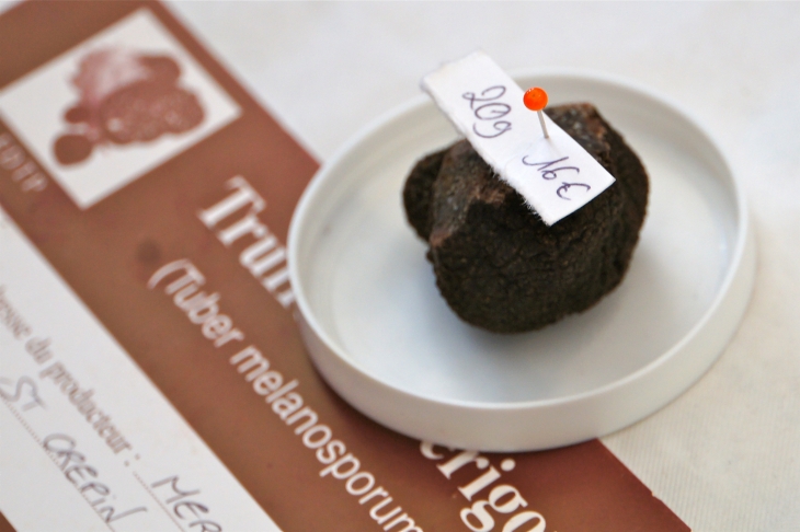 Le Festival de la Truffe. - Sarlat-la-Canéda