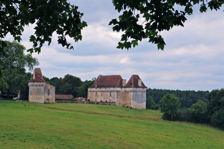 Le château de la Martinie - Segonzac