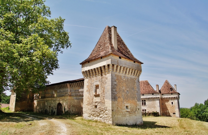 Le Château - Segonzac