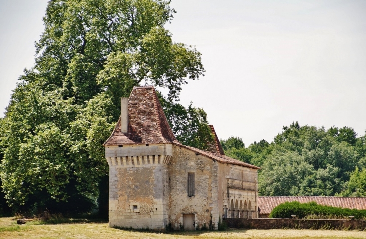 Le Château - Segonzac