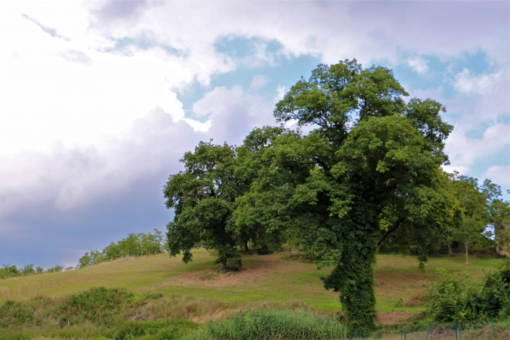 Aux alentours - Siorac-de-Ribérac