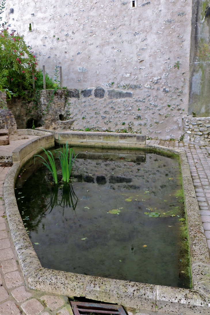 Dans le jardin Fontaines et Lavoir - Siorac-de-Ribérac