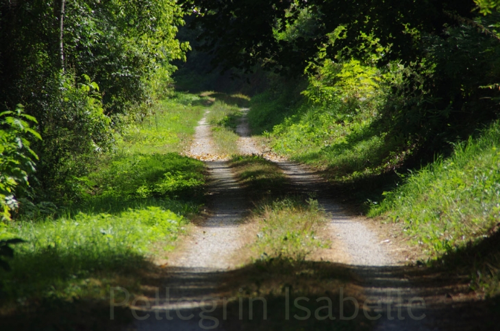 Chemin du vieux moulin - Sourzac