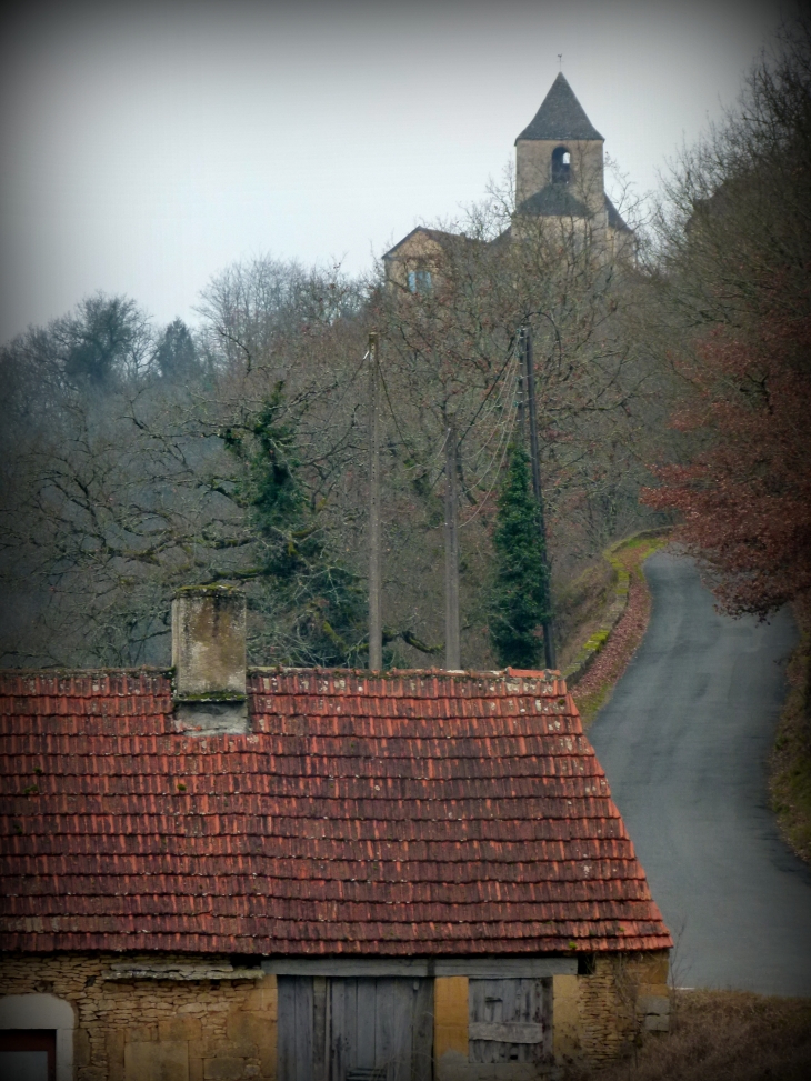 Route de Tamnies - Tamniès