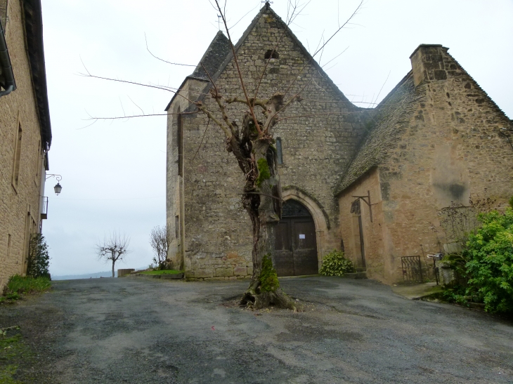 Eglise-de-tamnies - Tamniès