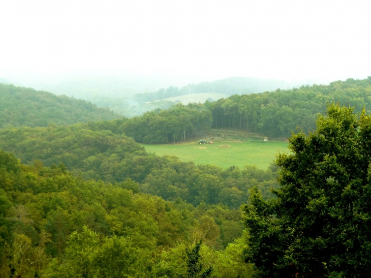 Aux alentours - Tamniès