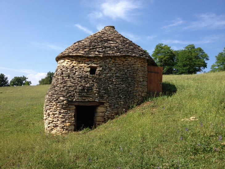 Borie ou cabane de berger. - Tamniès