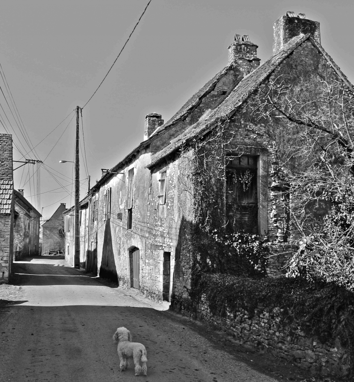 Avenue des templiers - Temple-Laguyon