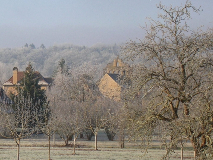 Thonac sous le givre