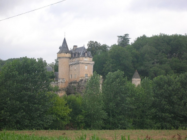 Château à Thonac