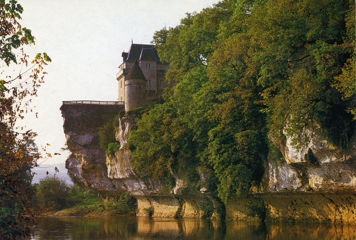 Belcayre : Le Château XVI°, juché sur un piton rocheux surplombe la rivière. (carte postale de 1980) - Thonac