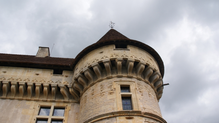 Chateau De Losse - Thonac