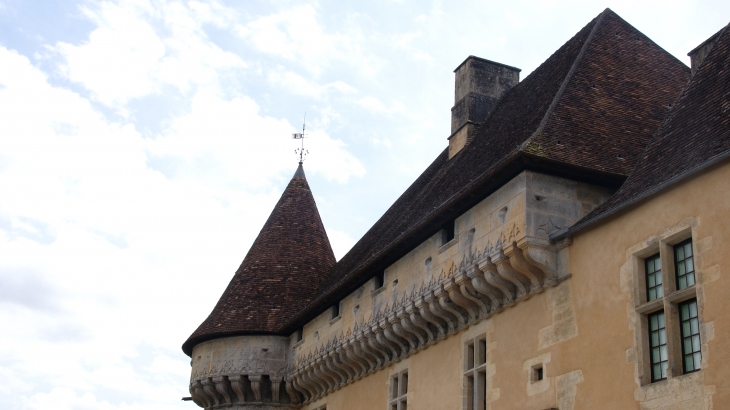 Chateau De Losse - Thonac