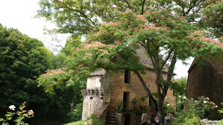 Chateau De Losse - Thonac