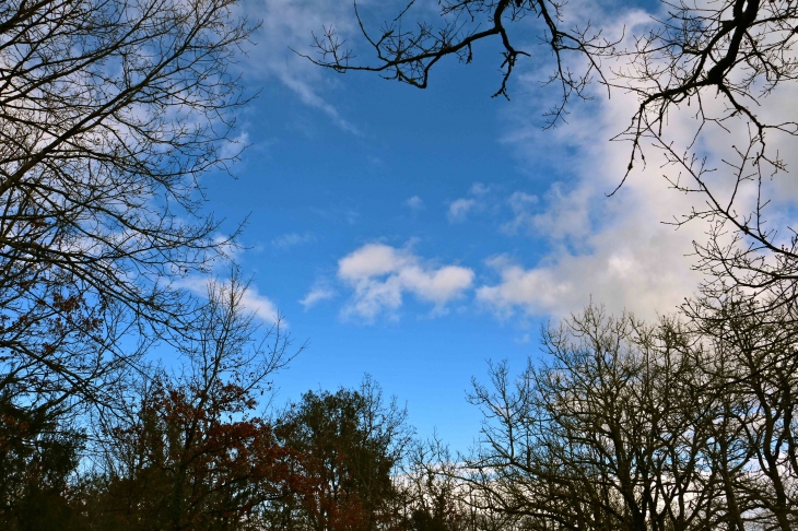 Ciel de février. - Trémolat