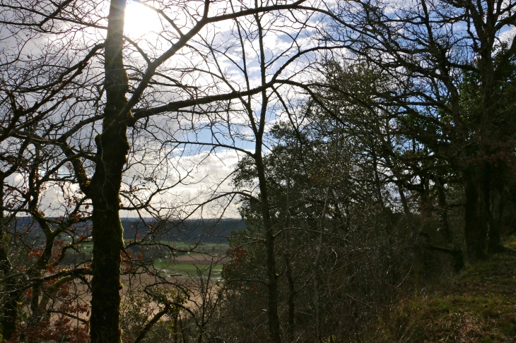 En février. - Trémolat