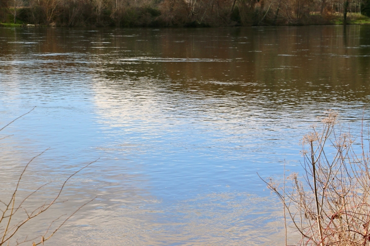 Le calme de la Dordogne. - Trémolat