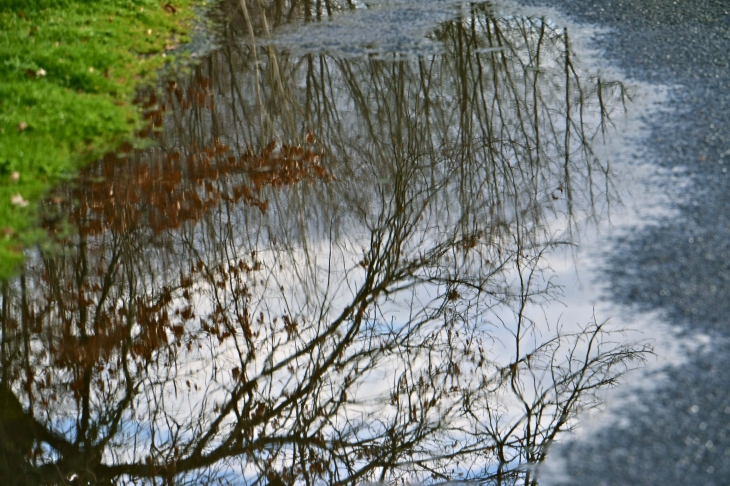 Reflets après la pluie. - Trémolat