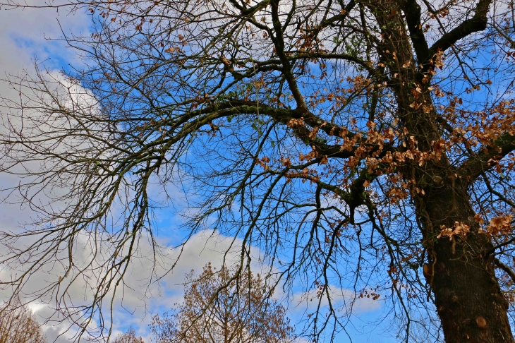 Dans le parc des loisirs. - Trémolat