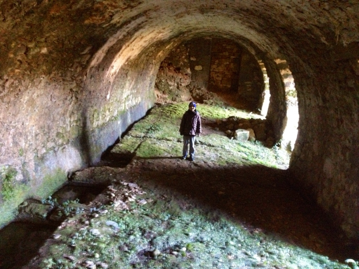 Les sous-sols du château de Marzac. - Tursac