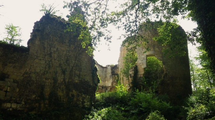 Ruines du château féodal du Petit Marzac. - Tursac