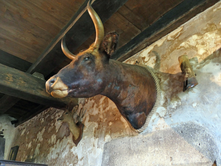  maison forte de Reignac : la grande salle d''honneur - Tursac