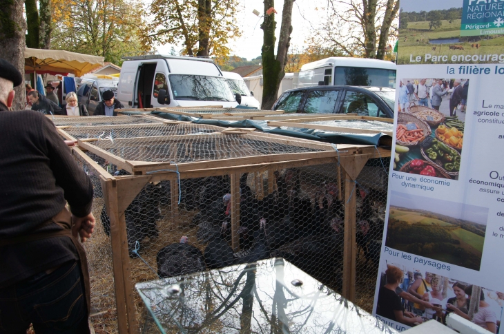 Foire aux dindons 2013 - Varaignes