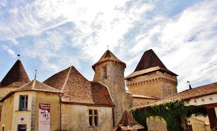 Château  - Varaignes