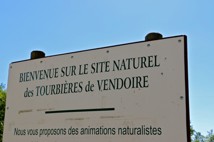 Les tourbières de Vendoire.