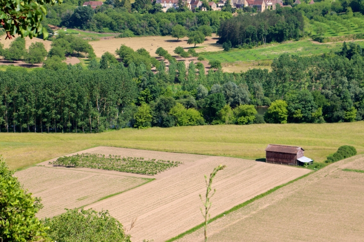 Depuis les jardins suspendus de Marqueyssac. - Vézac